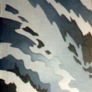 A6014.jpg