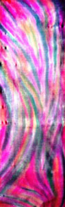Sh40001.jpg