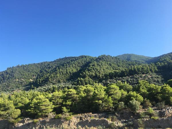 Природа 12