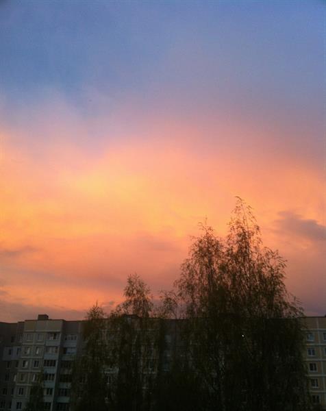 Природа 209