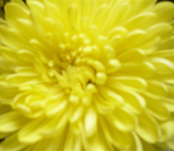 Природа 283