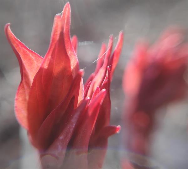 Природа 29