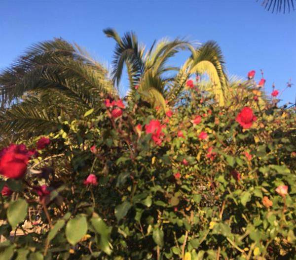 Природа 312
