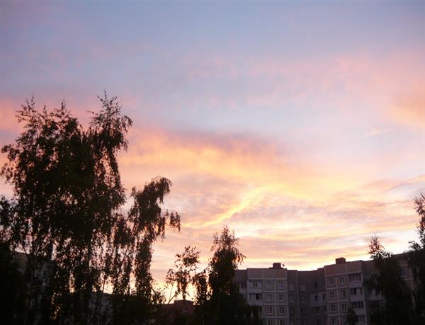 Природа 460