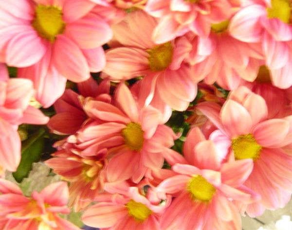 Природа 74