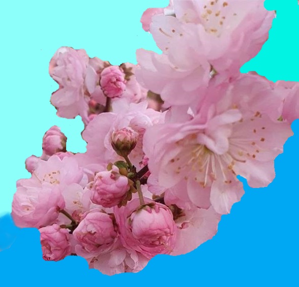 ПР 153