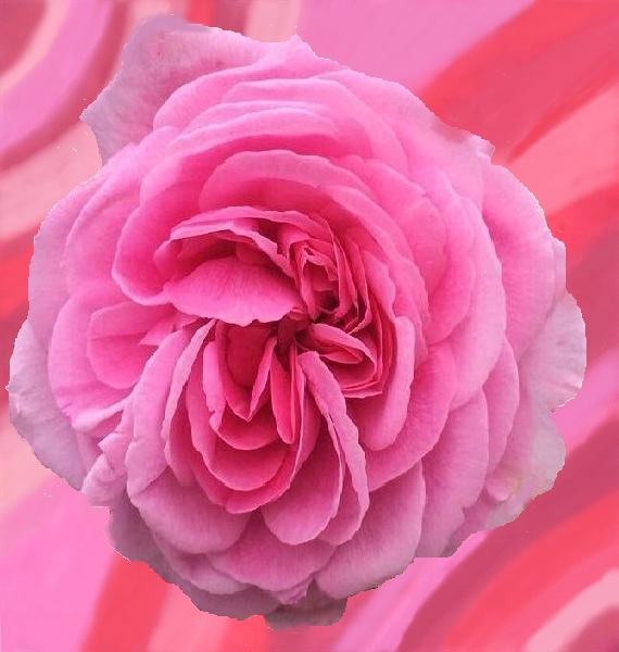 ПР 162