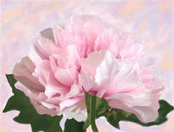 ПР 186