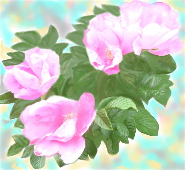 ПР 201