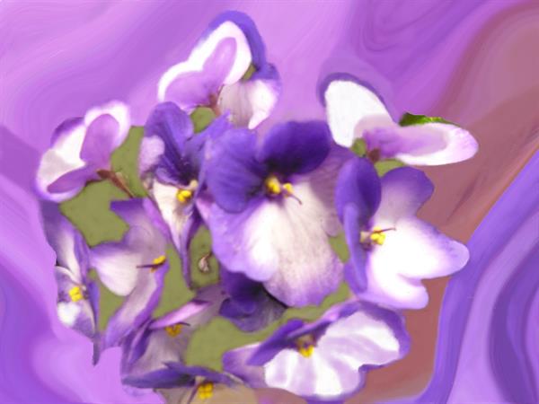 ПР 204
