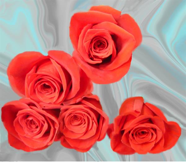 ПР 205