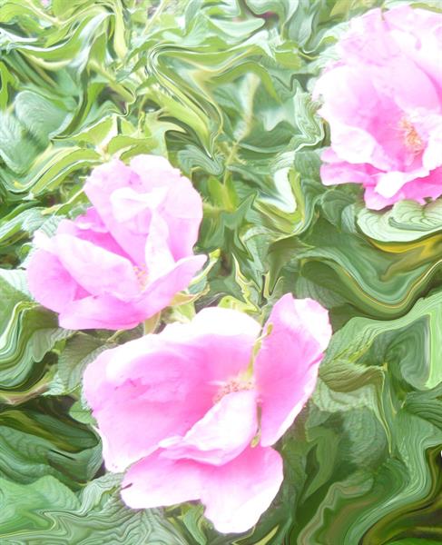 ПР 341